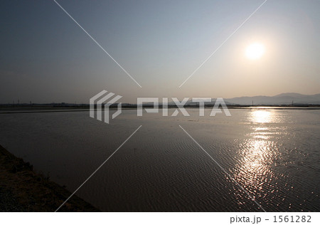 坂井平野の風景 坂井平野の風景 1561282