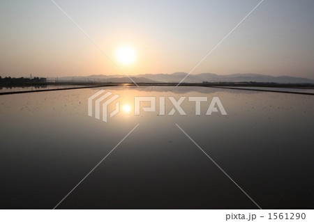 坂井平野の風景 坂井平野の風景 1561290