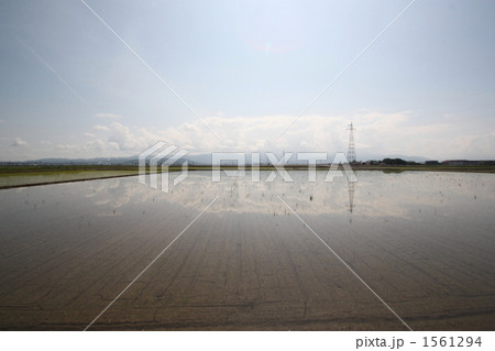 坂井平野の風景 1561294