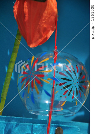 浅草ホオズキ市 1561609