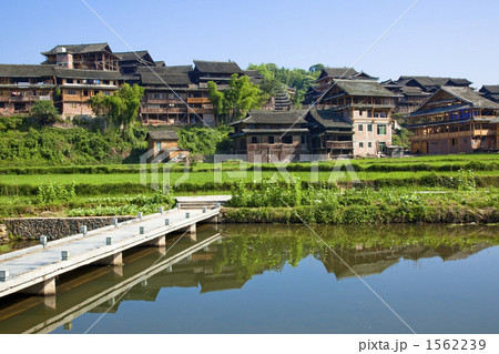 程陽村の田園風景 程陽村の田園風景 1562239