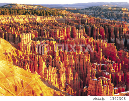 ブライスキャニオンの奇岩群 1562308