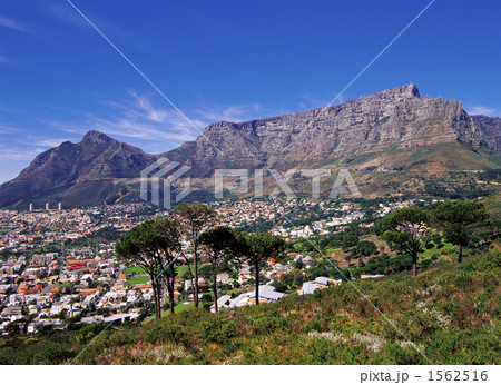 ケープタウンの町並みとテーブルマウンテン ケープタウンの町並みとテーブルマウンテン 1562516
