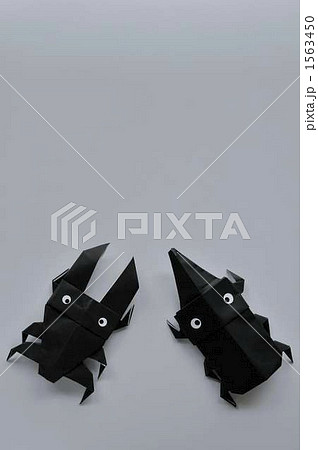 クワガタ　＆　カブトムシ 1563450