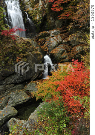 秋の御手洗渓谷 秋の御手洗渓谷 1563979