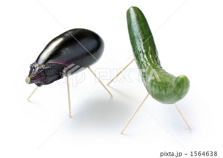 精霊馬 精霊馬 1564638