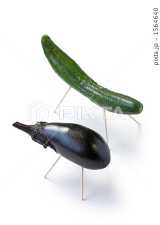 精霊馬 精霊馬 1564640