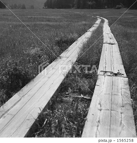 尾瀬国立公園 尾瀬国立公園 1565258