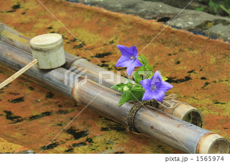桔梗の花をあしらったお清め水 1565974