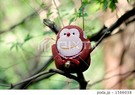 サルの涼 サルの涼 1566038