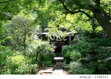 円覚寺黄梅院を訪れて 1566341