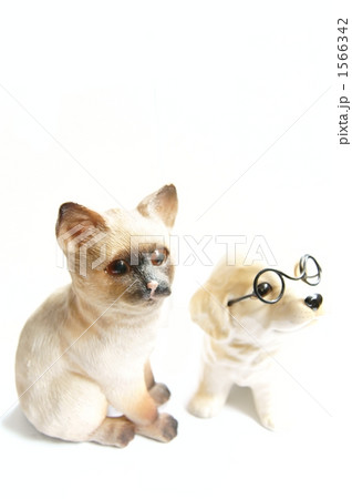 明日に向かって 明日に向かって 1566342