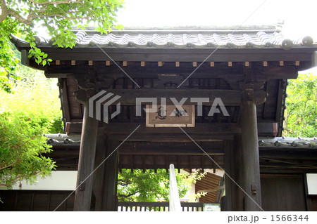 円覚寺の如意庵を訪れて 円覚寺の如意庵を訪れて 1566344