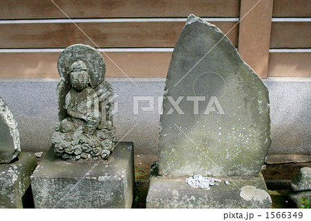 円覚寺方丈の前庭に並ぶ百観音 円覚寺方丈の前庭に並ぶ百観音 1566349