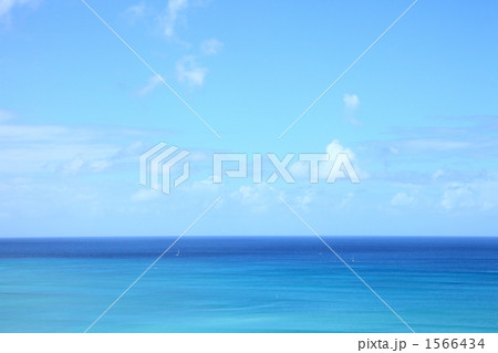 ハワイの海 1566434