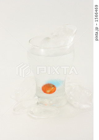 グラス グラス 1566469