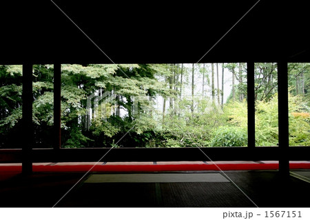 額縁庭園 1567151