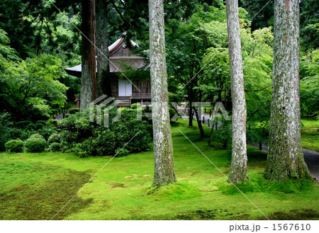 京都 三千院にて 京都 三千院にて 1567610