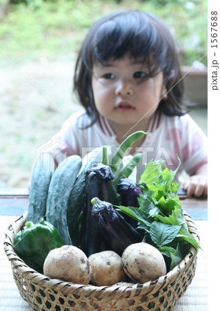 沢山とれたね 沢山とれたね 1567688