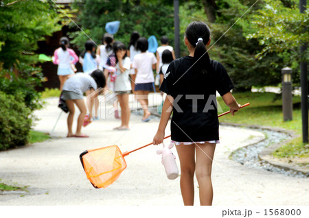川遊び 川遊び 1568000
