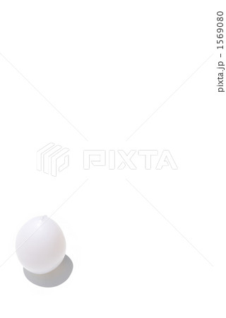 たまご 1569080