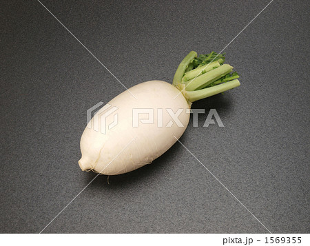 からみ大根 からみ大根 1569355