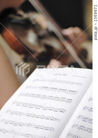 タカレナ0384 1569971