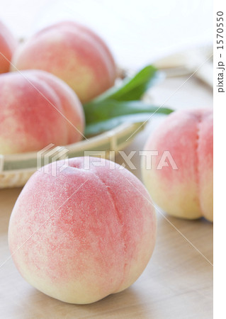 夏のイメージ 1570550