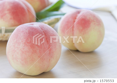 夏のイメージ 夏のイメージ 1570553