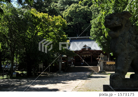 パワースポット伊豆山神社 1573175