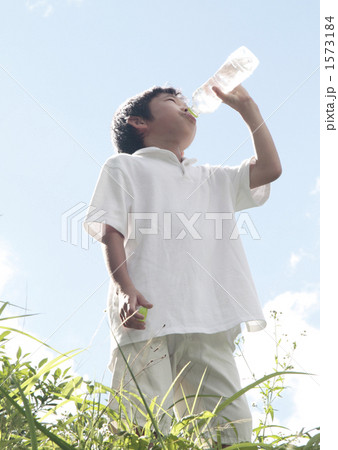 暑い夏 1573184
