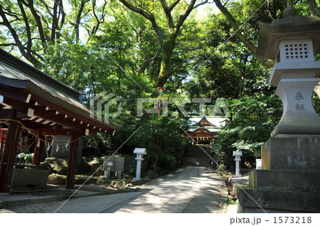 パワースポット 来宮神社 パワースポット 来宮神社 1573218