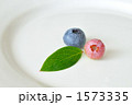 ブルーベリー 1573335