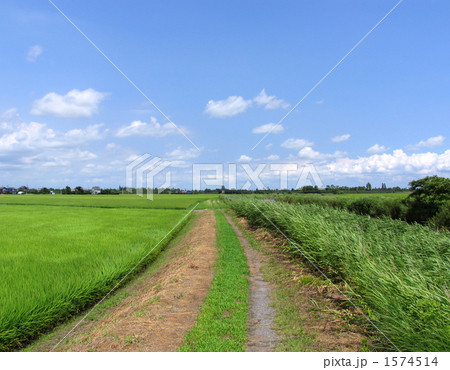 水田風景 1574514