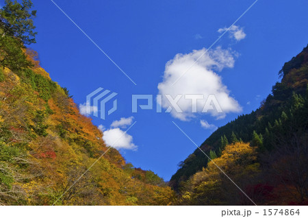 紅葉と空 紅葉と空 1574864