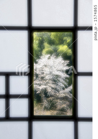 障子 障子 1574865