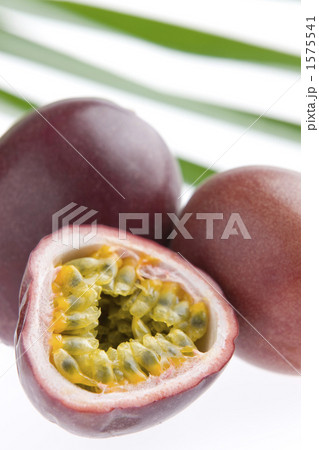 パッションフルーツ 1575541