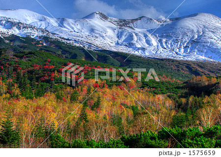 冠雪の十勝岳と紅葉 1575659