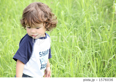 草原の中の男の子の写真素材