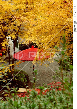 大興善寺の紅葉 1576548