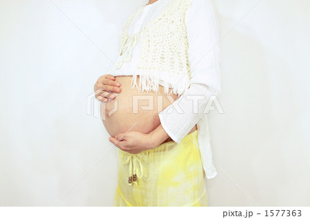 妊婦のお腹 1577363