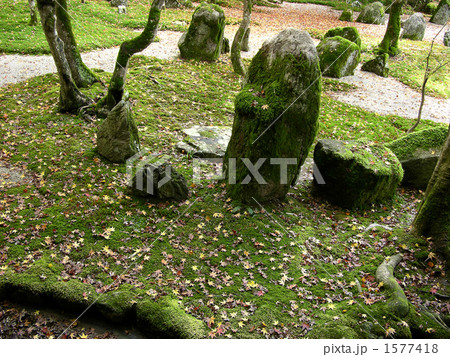 日本庭園 1577418