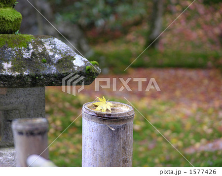 日本庭園 1577426