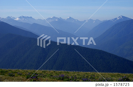 アメリカ　ワシントン州　オリンピック国立公園の山並み 1578725