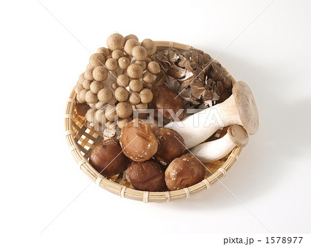 キノコセット キノコセット 1578977