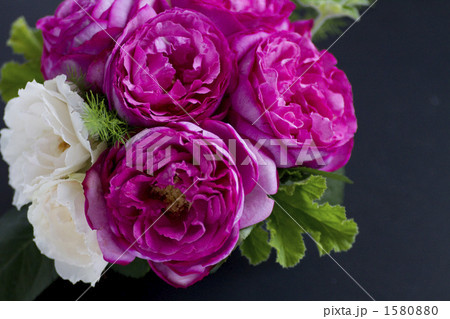 薔薇 品種名 イブピアッチェの花束の写真素材