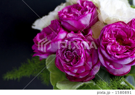薔薇 品種名 イブピアッチェの花束の写真素材