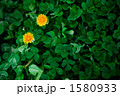 1580933
