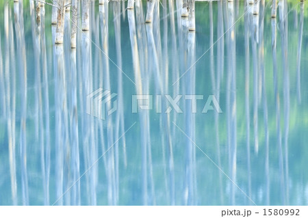 美瑛「青い池」 1580992