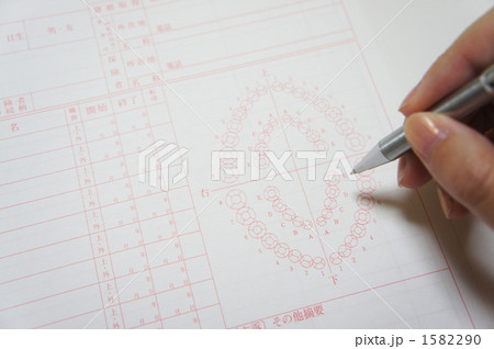 歯科用カルテ 歯科用カルテ 1582290